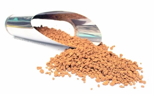 bonsai tal felkeszitese elokeszitese bonsai atultetese elott